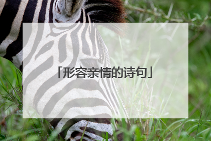 形容亲情的诗句