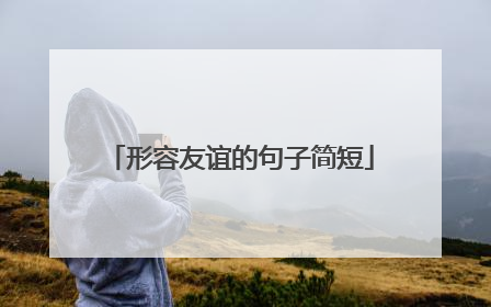 形容友谊的句子简短