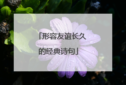 形容友谊长久的经典诗句