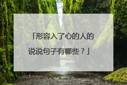 形容入了心的人的说说句子有哪些?