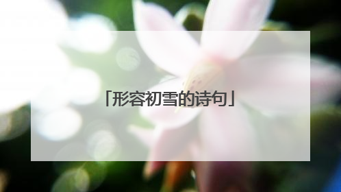 形容初雪的诗句