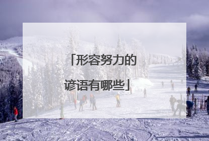 形容努力的谚语有哪些