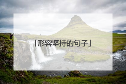 形容坚持的句子