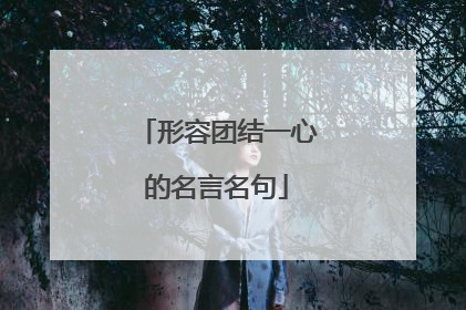 形容团结一心的名言名句