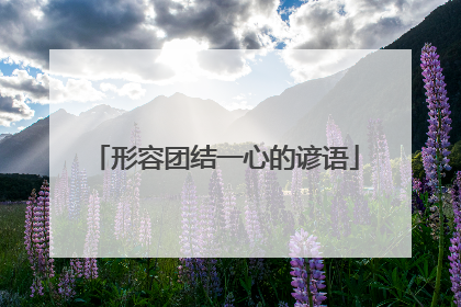 形容团结一心的谚语