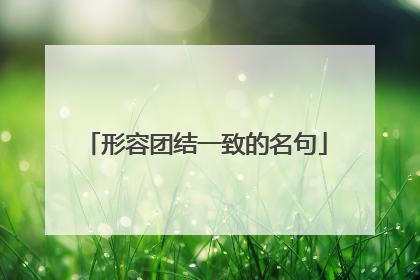 形容团结一致的名句