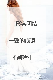 形容团结一致的成语有哪些