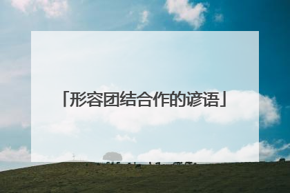 形容团结合作的谚语