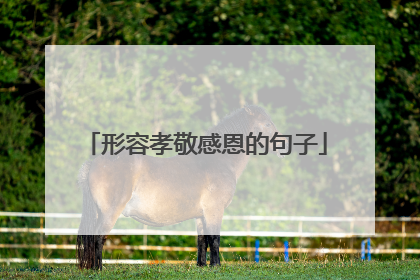 形容孝敬感恩的句子