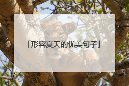 形容夏天的优美句子
