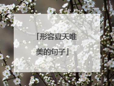 形容夏天唯美的句子