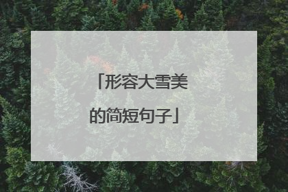 形容大雪美的简短句子