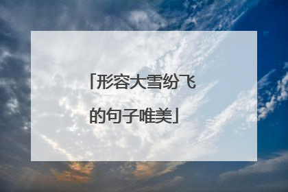 形容大雪纷飞的句子唯美