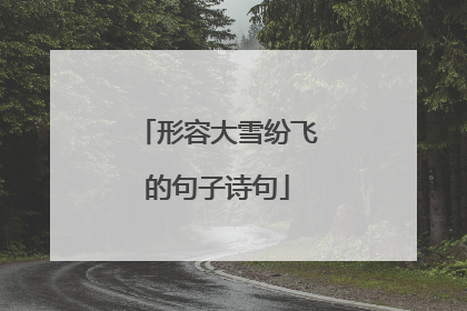 形容大雪纷飞的句子诗句