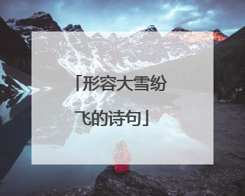 形容大雪纷飞的诗句