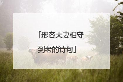 形容夫妻相守到老的诗句