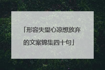 形容失望心凉想放弃的文案锦集四十句