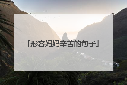 形容妈妈辛苦的句子
