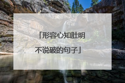 形容心知肚明不说破的句子