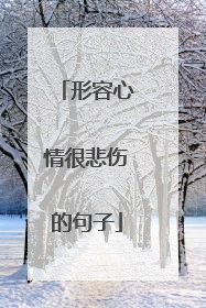 形容心情很悲伤的句子