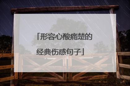 形容心酸痛楚的经典伤感句子