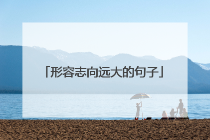 形容志向远大的句子