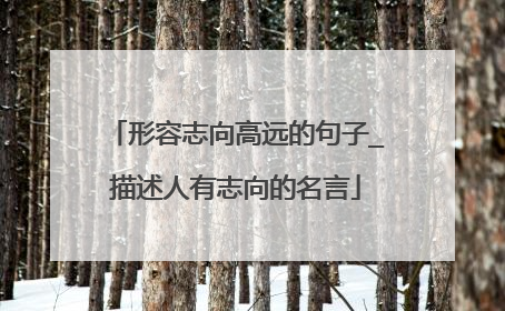 形容志向高远的句子_描述人有志向的名言