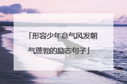 形容少年意气风发朝气蓬勃的励志句子