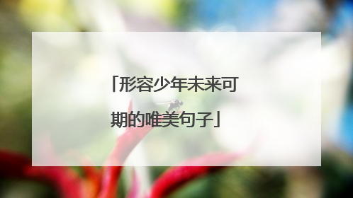 形容少年未来可期的唯美句子