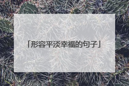 形容平淡幸福的句子