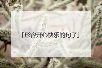 形容开心快乐的句子