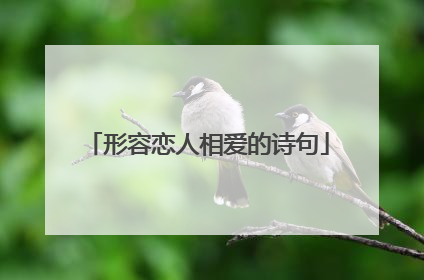 形容恋人相爱的诗句