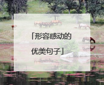 形容感动的优美句子