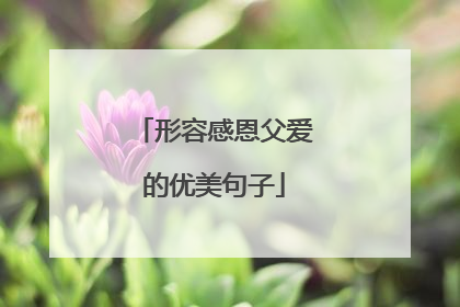 形容感恩父爱的优美句子