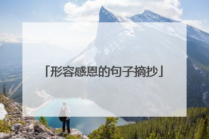 形容感恩的句子摘抄