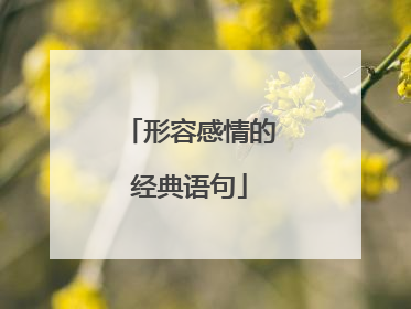 形容感情的经典语句