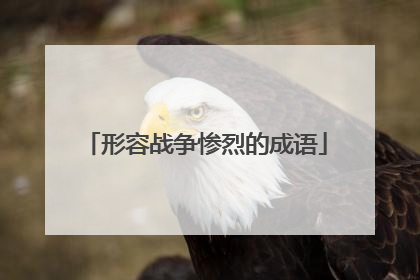 形容战争惨烈的成语