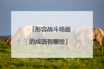 形容战斗场面的成语有哪些