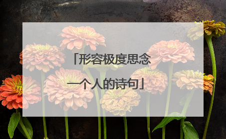 形容极度思念一个人的诗句