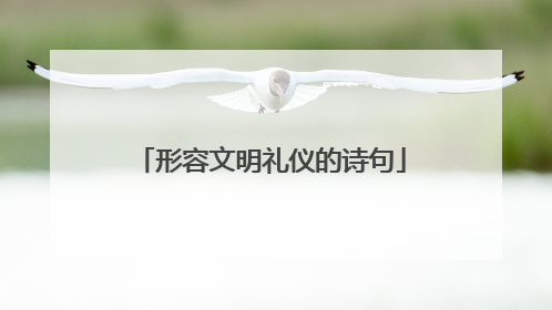 形容文明礼仪的诗句