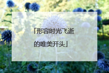 形容时光飞逝的唯美开头