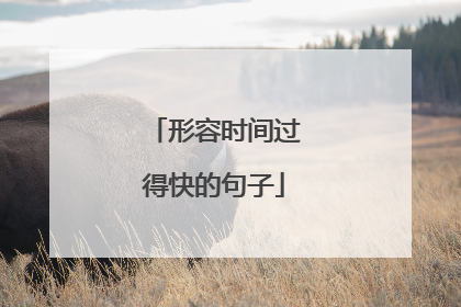 形容时间过得快的句子