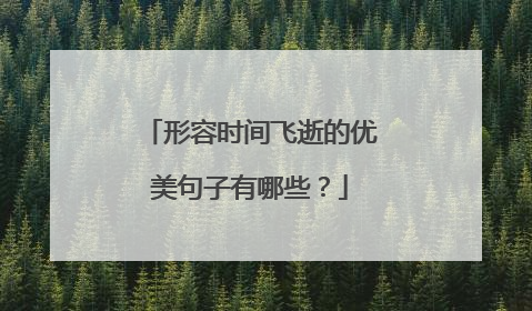 形容时间飞逝的优美句子有哪些？