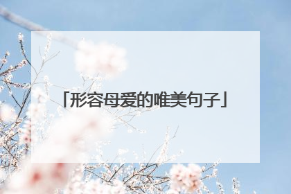 形容母爱的唯美句子
