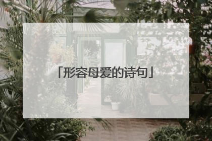形容母爱的诗句