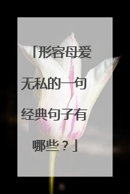 形容母爱无私的一句经典句子有哪些?