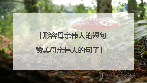 形容母亲伟大的短句赞美母亲伟大的句子