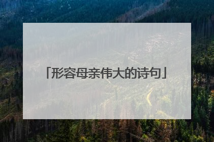 形容母亲伟大的诗句