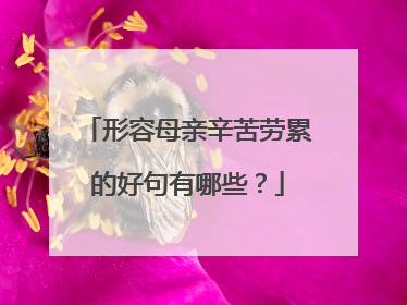 形容母亲辛苦劳累的好句有哪些？