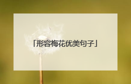 形容梅花优美句子